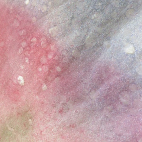 画像3: 染紙　落水　オレンジ＋紫＋ピンク＋緑ぼかし (3)