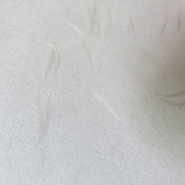 画像3: 210×310　大礼紙 (3)