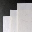 画像1: 210×310　大礼紙 (1)