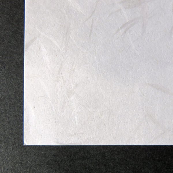 画像2: 210×310　大礼紙 (2)
